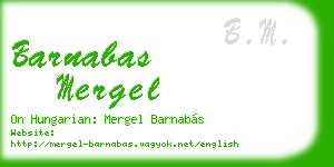 barnabas mergel business card